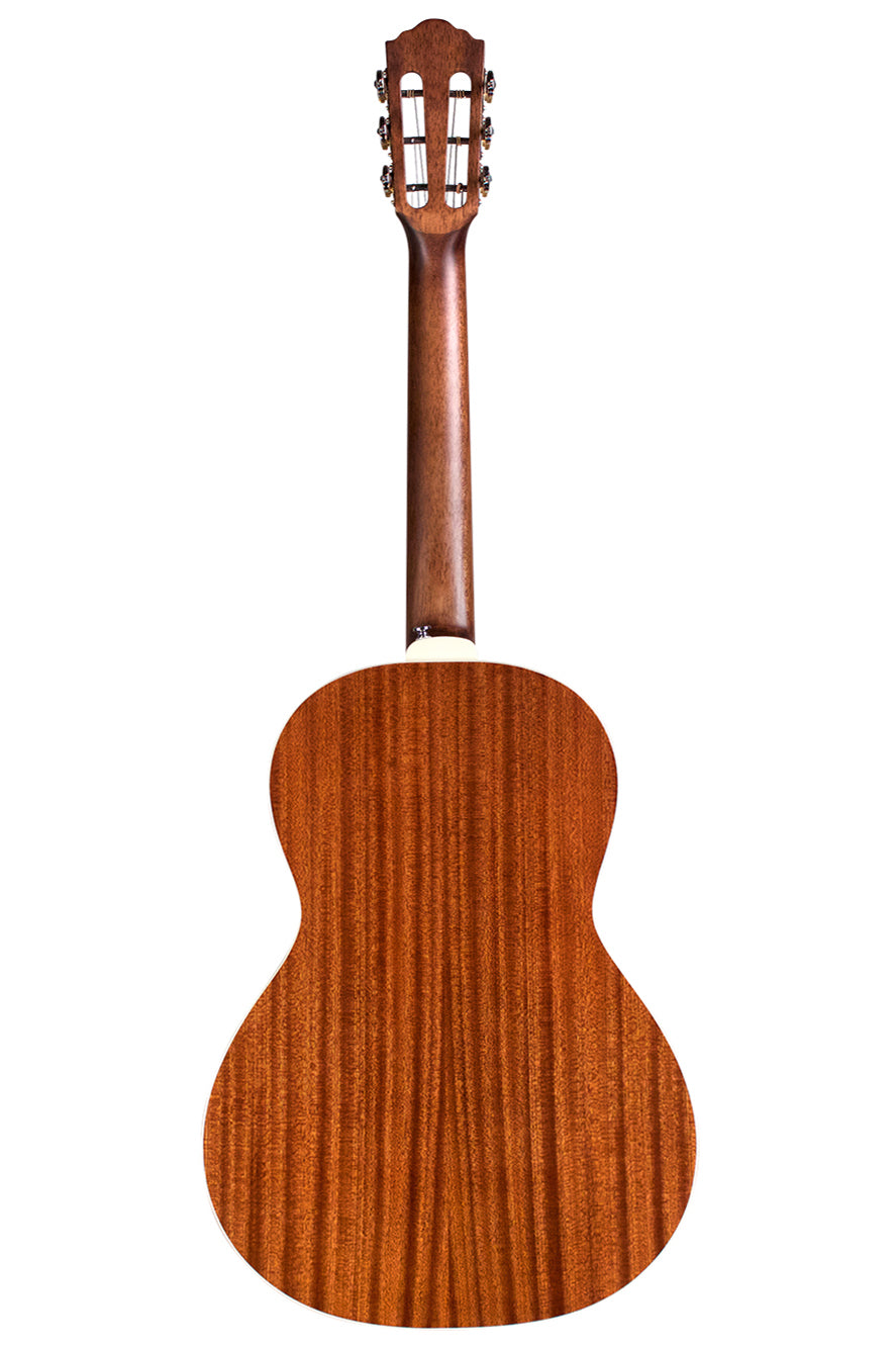 back of a Guild P-240 Memoir parlour size acoustic guitar in natural finish with a slotted headstock