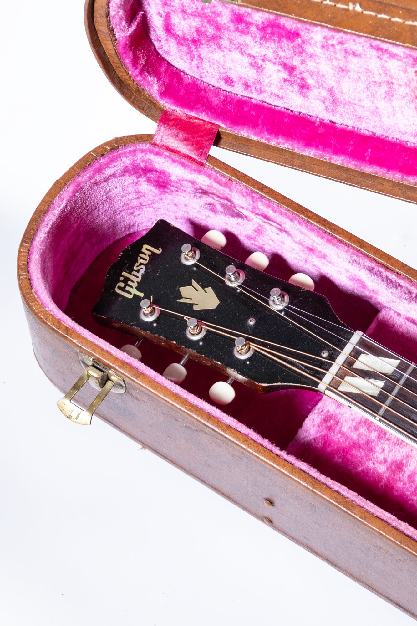 gibson headstock in Clifton case