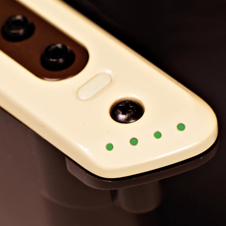 L.R. Baggs M80 Acoustic Pickup