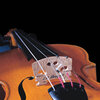 L.R. Baggs Violin Pickup