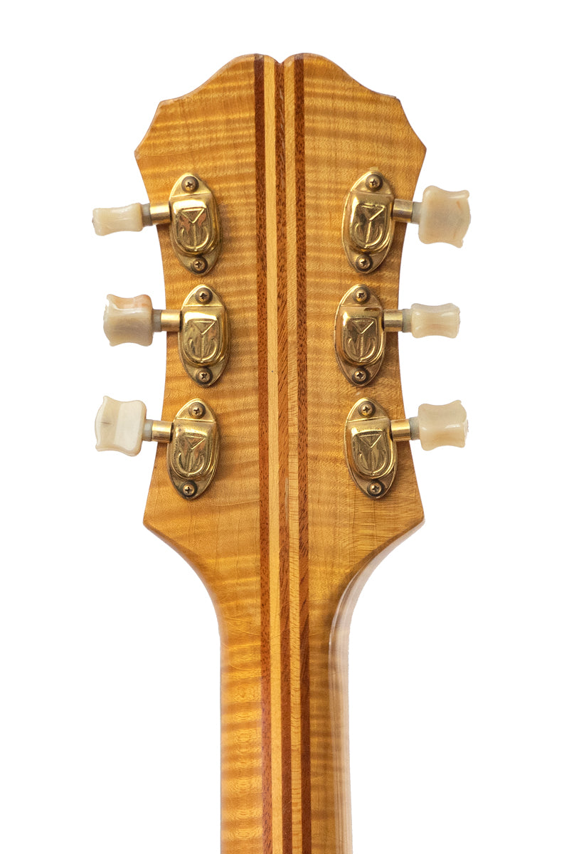 tuners from a vintage 1952 Epiphone Zephyr Emperor Regent archtop guitar