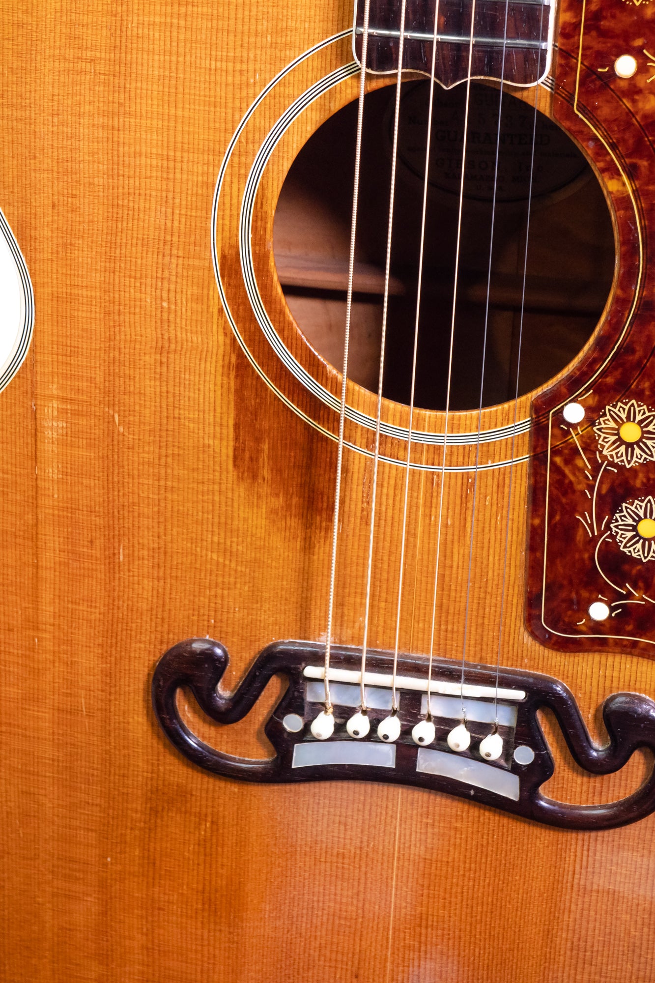 closeup of a bridge from a vintage 1953 Gibson SJ-200 jumbo acoustic guitar