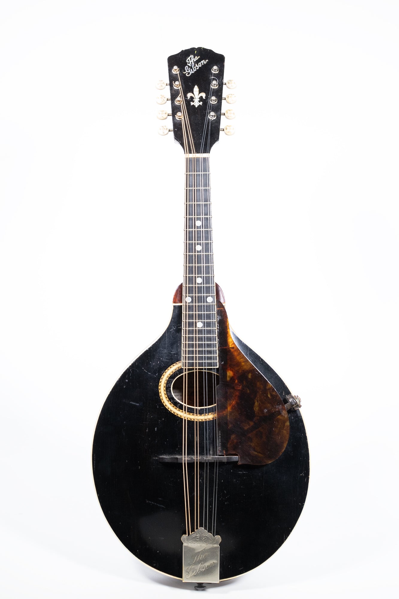 Vintage Gibson A4 Mandolin