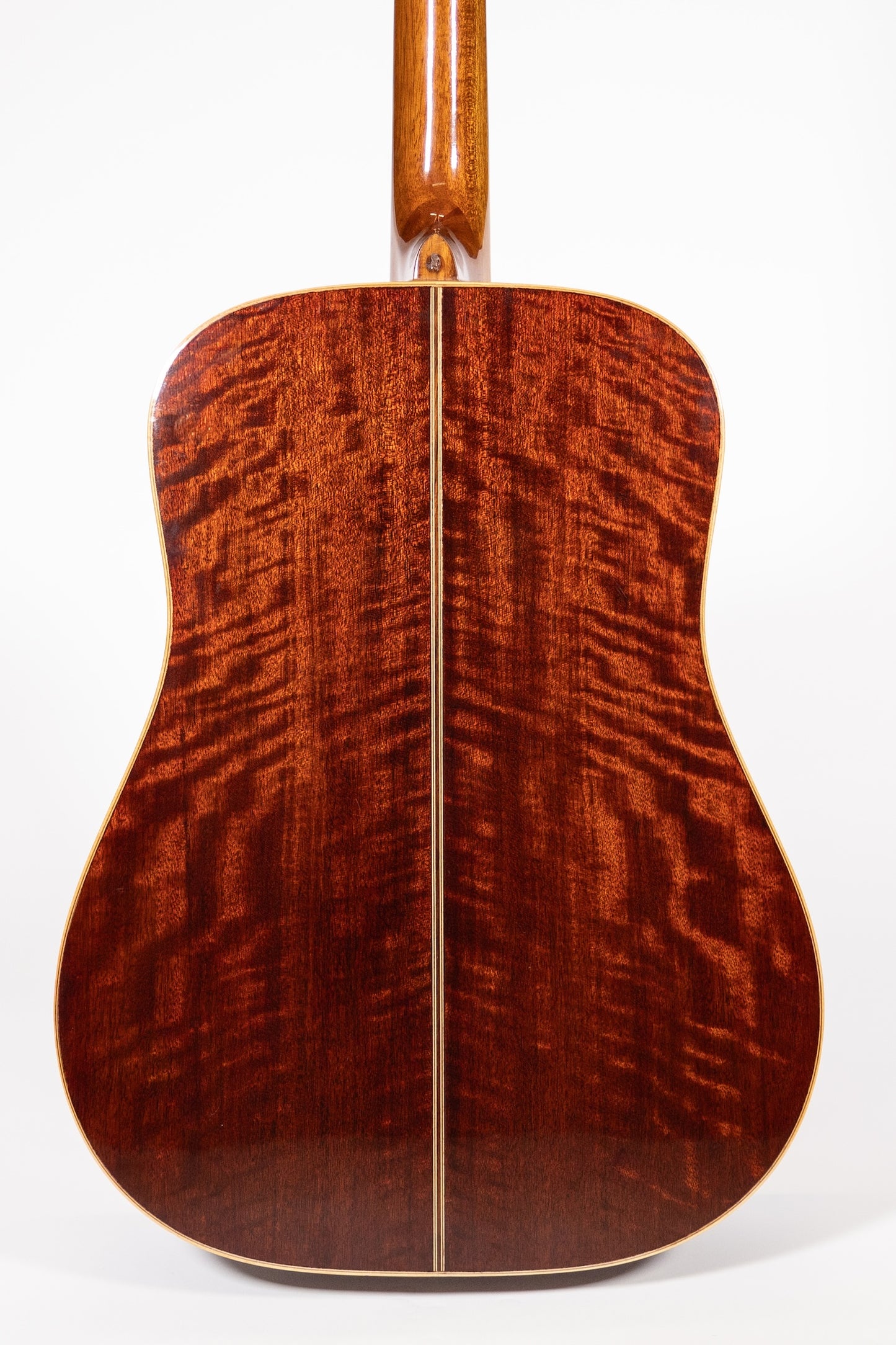 1970's Washburn DW 60 'Timber Ridge'