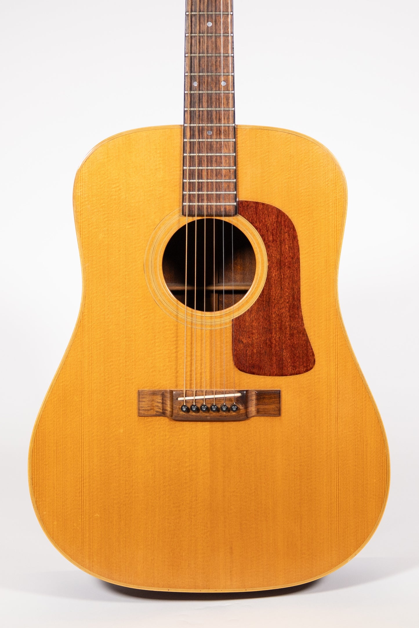 1970's Washburn DW 60 'Timber Ridge'