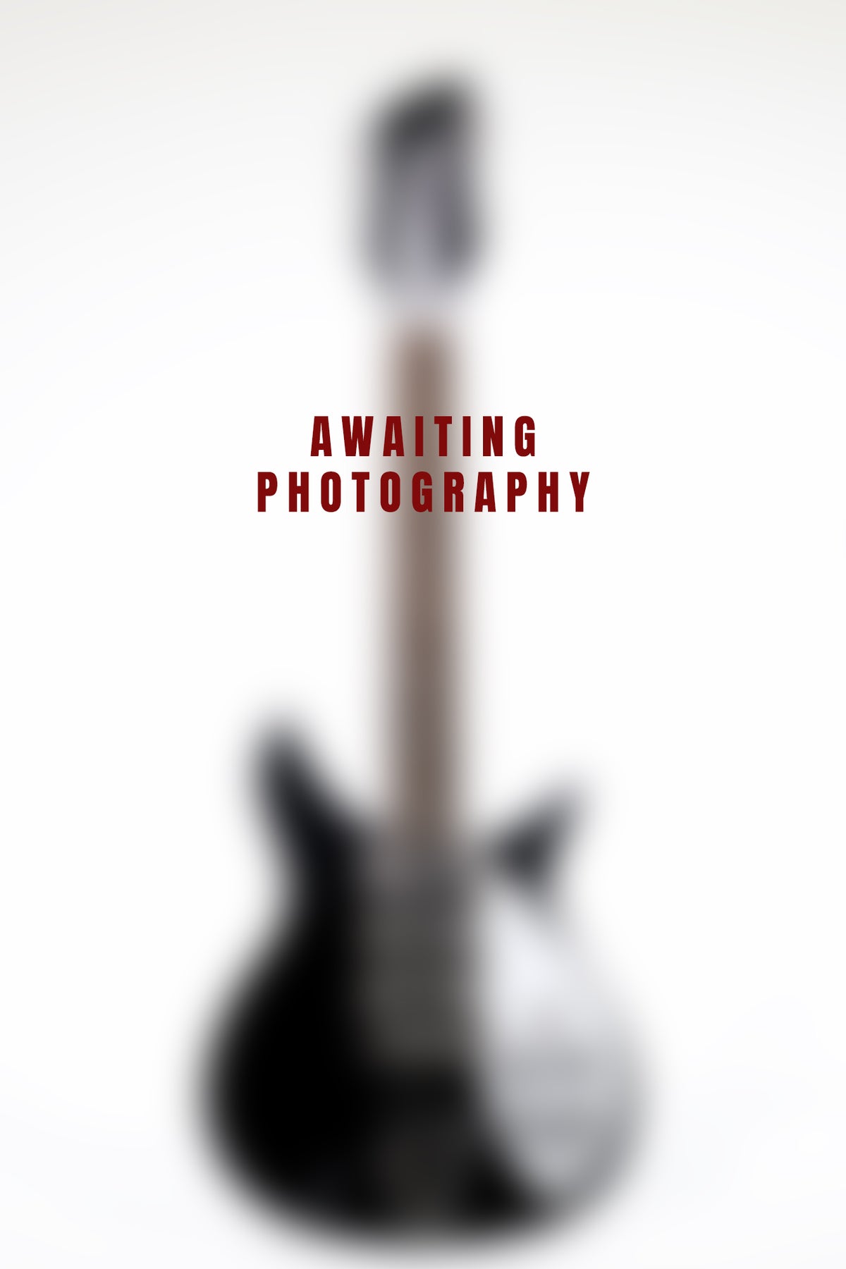 1981 Rickenbacker 320