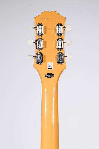 2023 Epiphone Les Paul Special