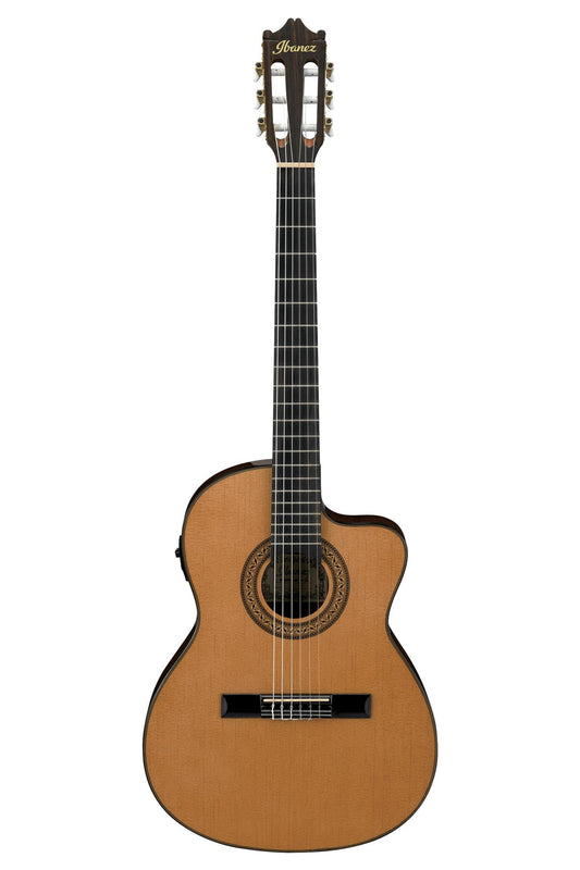 New Ibanez classical guitar in natural finish with cutaway