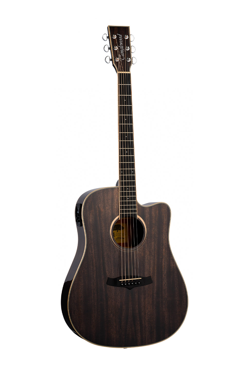 Tanglewood Winterleaf Dreadnought (TW5CEBS) - Black Shadow Gloss