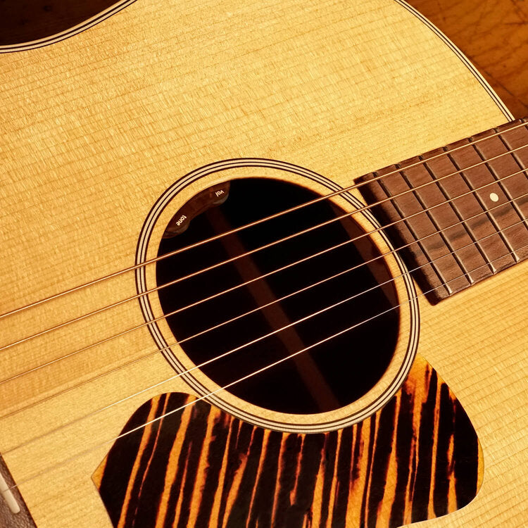 L.R. Baggs – No.Tom Guitars