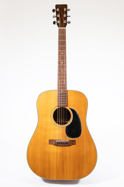 1976 Martin D-18