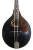 1929 The Gibson A2 Mandolin