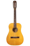 1965 Goya TS-5 12 String