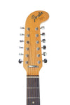 1965 Fender Villager